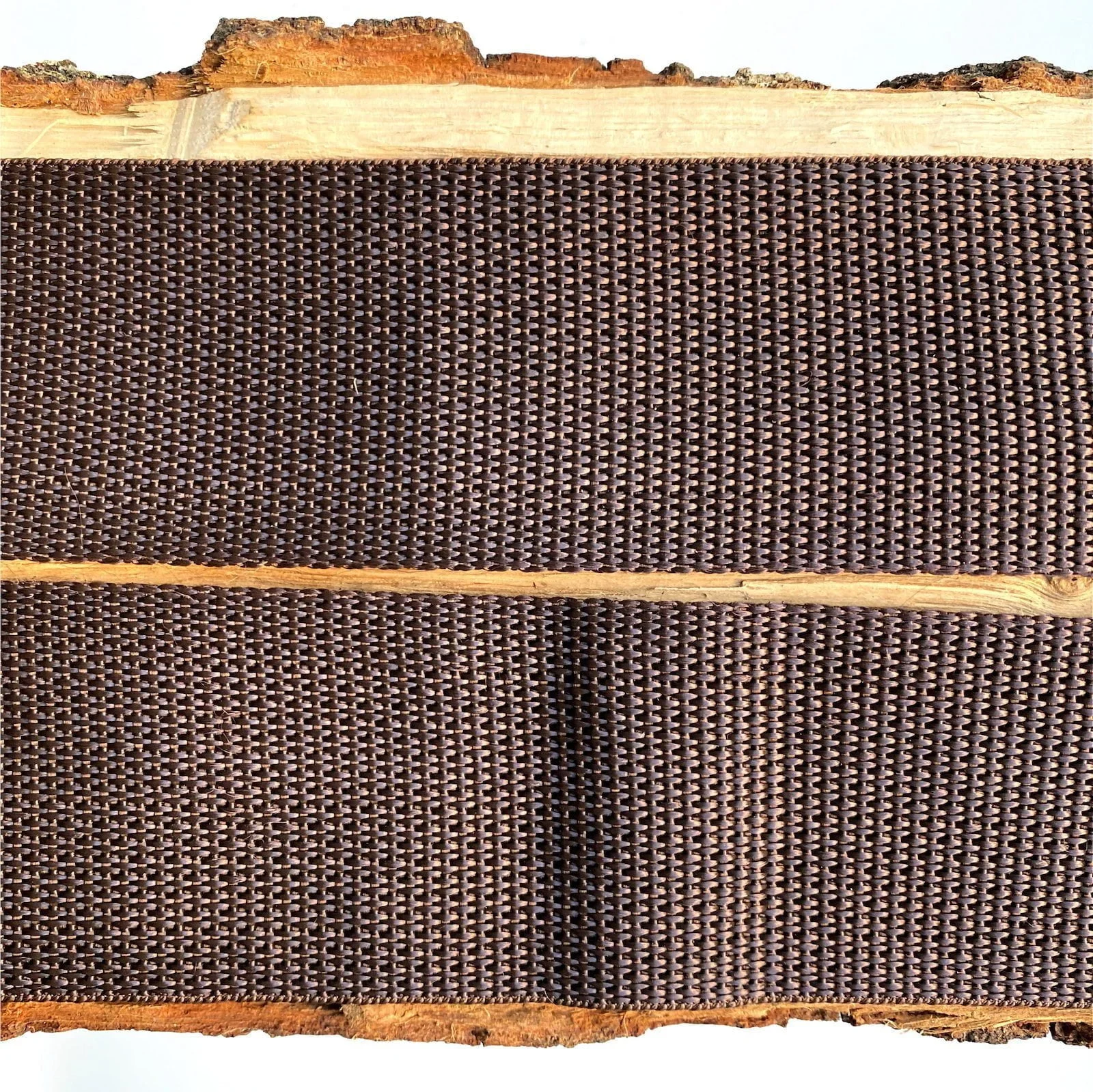 Ernie Ball Brown pasek do gitary