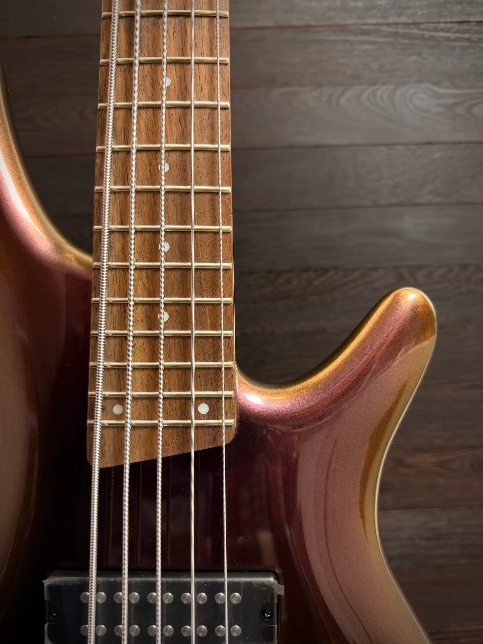 ibanez sr305edx rose gold chameleon gitara basowa 5 strunowa